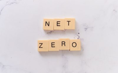 Moving Towards a Carbon Neutral Future – Introducing the Net Zero Tech Alliance